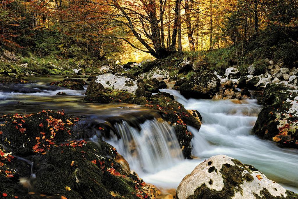 Farmhouse Pri Miklavu Bohinj Exteriör bild