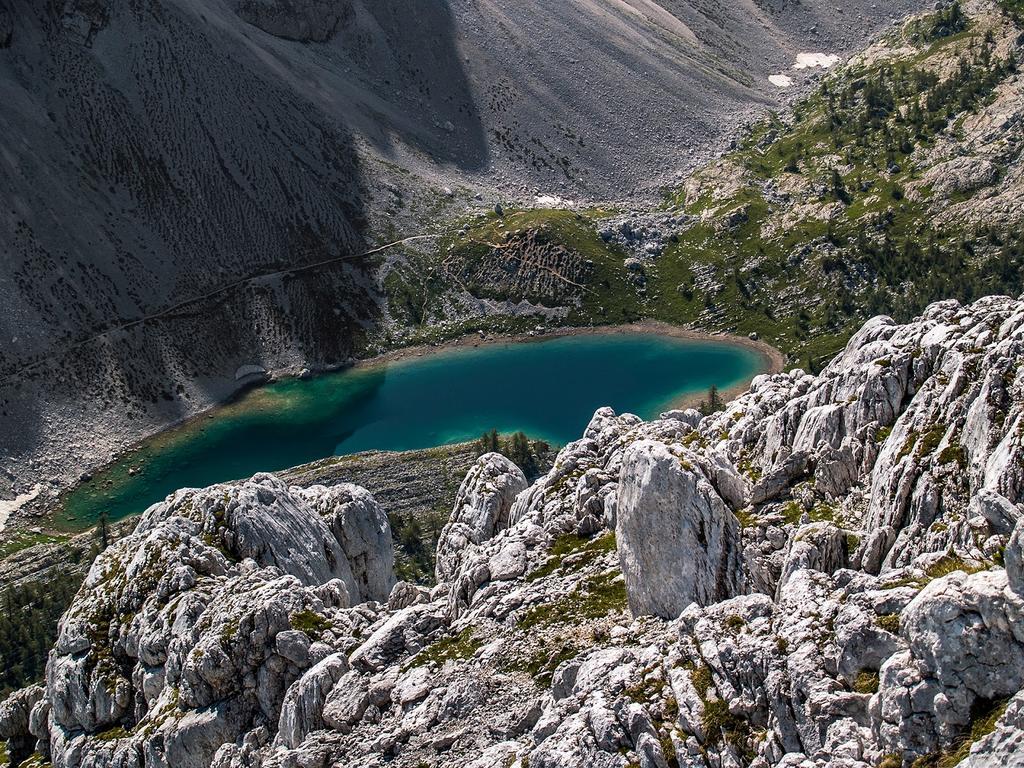 Farmhouse Pri Miklavu Bohinj Exteriör bild