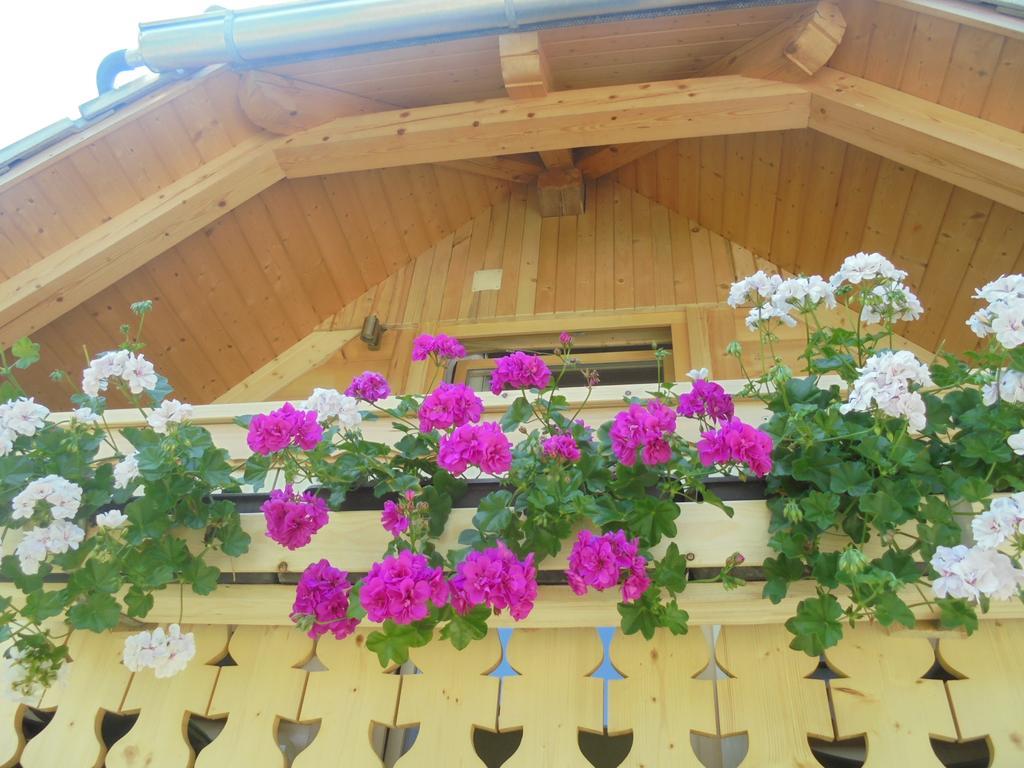 Farmhouse Pri Miklavu Bohinj Exteriör bild