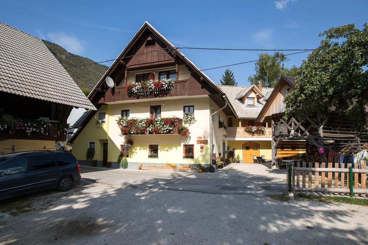 Farmhouse Pri Miklavu Bohinj Exteriör bild