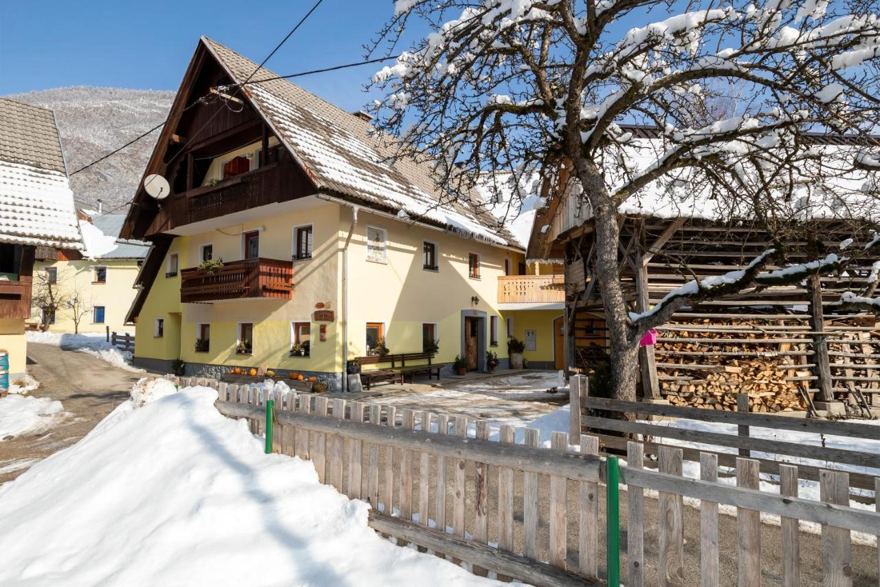 Farmhouse Pri Miklavu Bohinj Exteriör bild